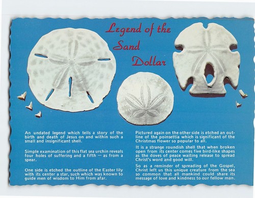 Legend the sand dollar - the,