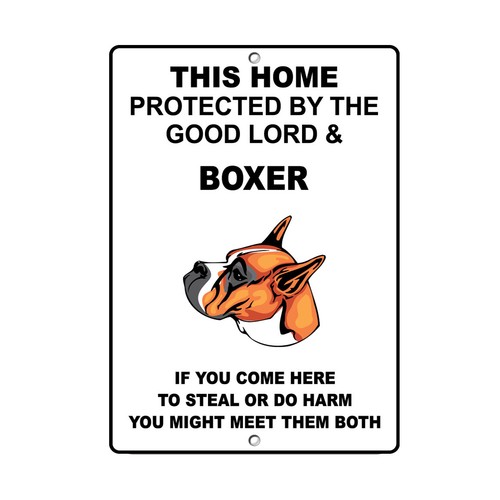 Boxer dog home - dog,