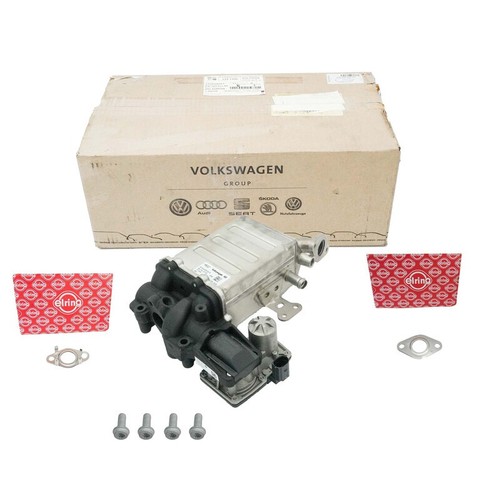 Egr radiator gasket - +, for