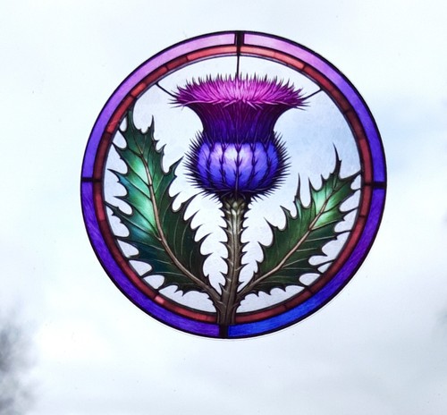 Thistle decorative stained - thistle,