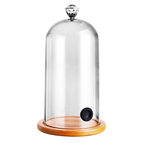 Plastic smoking cloche hood - smoking,