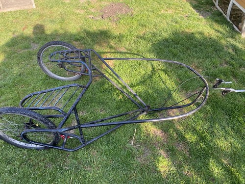 Husky dog sled racing rig - husky,
