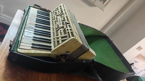 Vintage hohner verdi - verdi, 3