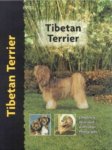 Tibetan terrier by juliette - tibetan,