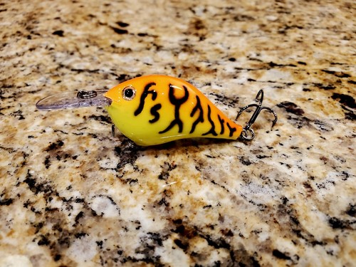Custom painted rapala - rapala, dt-6