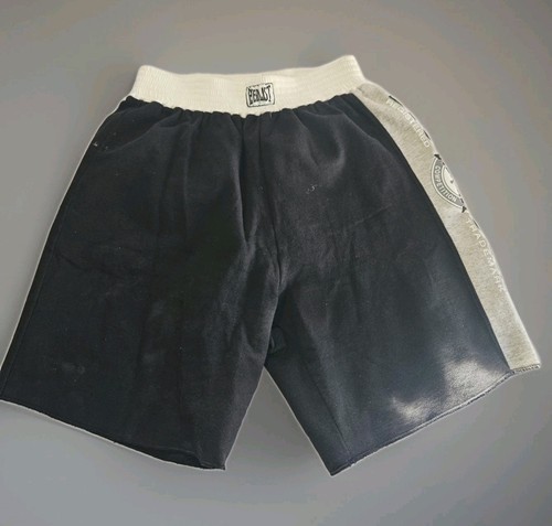 Big everlast gym boxing - everlast,