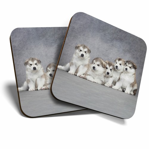 Coasters alaskan - 2, x
