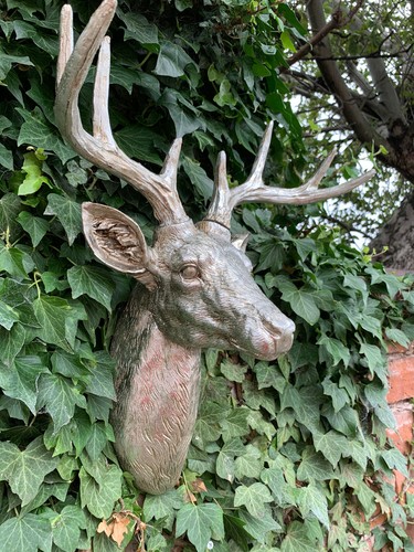 Large size animal skull wall - size,
