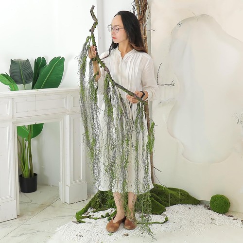 Curly weeping willow - curly, vine