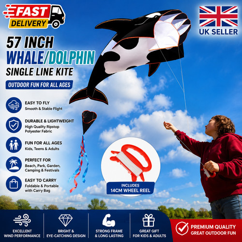 Kite large whale dolphin - whale,