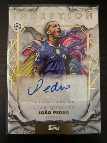 Joao pedro base auto - pedro,