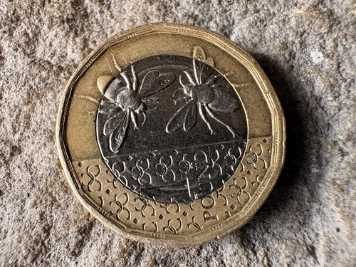 2025 great britain one - 2025,