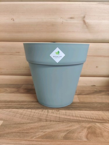 17cm bonnies oak soho green - bonnies,