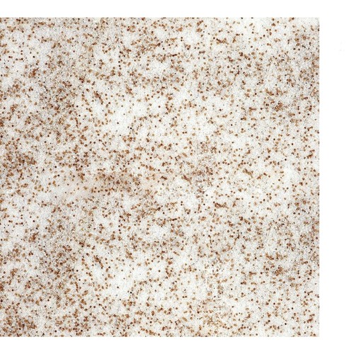 Baby brine shrimp eggs - baby,