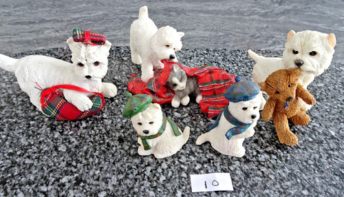Used westies lot 10 - 5,