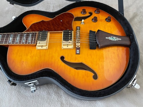 Ibanez artcore af125 with hard - af125,