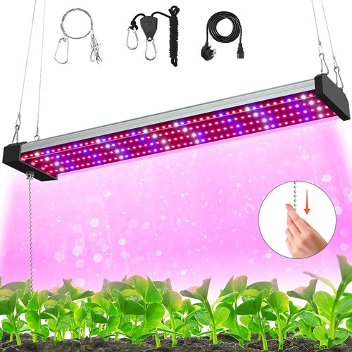 Led plant grow lights - plant, full