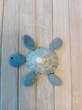 20 small flat beach pebbles