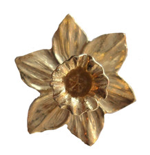 Welsh Daffodil St David's Day