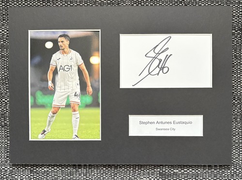 Stephen eustaquio swansea - -,
