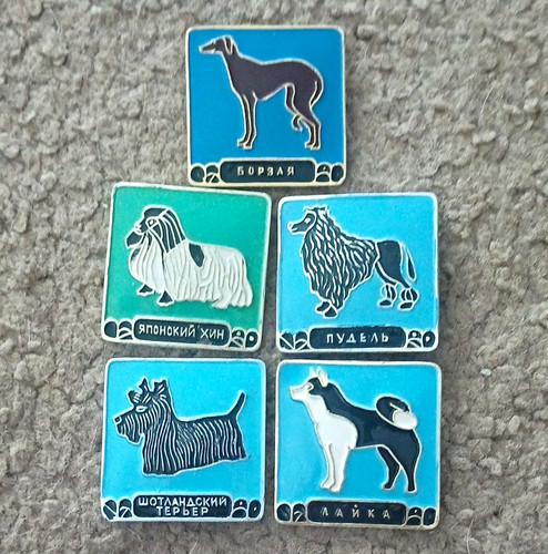 Ussr enamel dog breed - ussr,