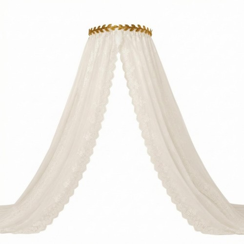 Transparent lace bed - bed, canopy