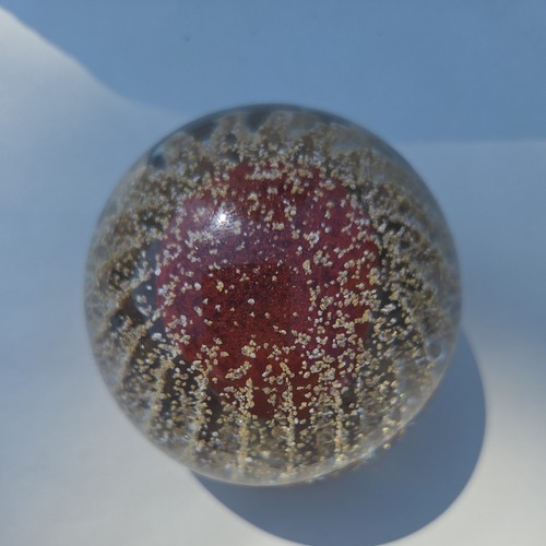 Strathearn sea urchin - sea,