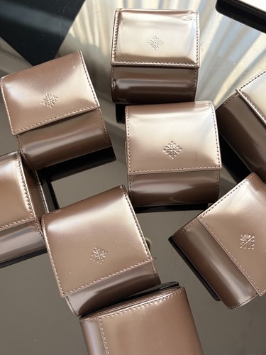 Patek philippe watch travel - watch,