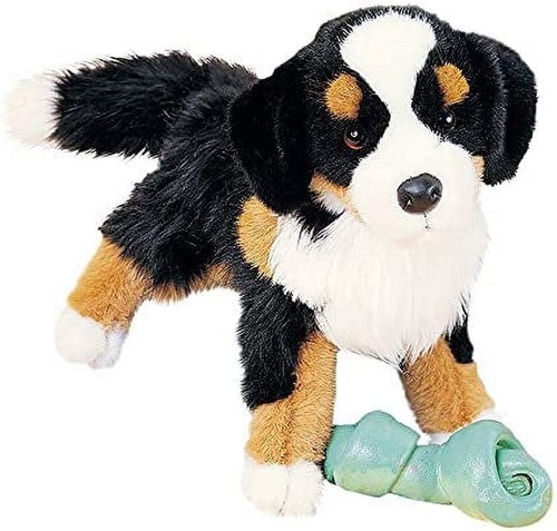 Douglas trevor bernese - trevor,