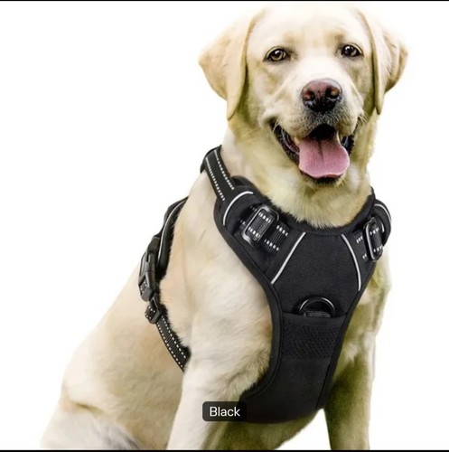 Dog harness pull - dog,