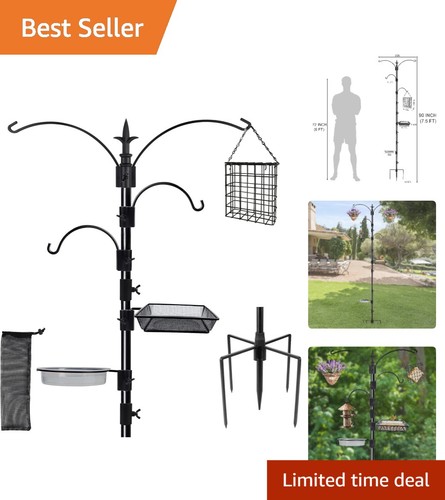 Elegant bird feeding - bird, station