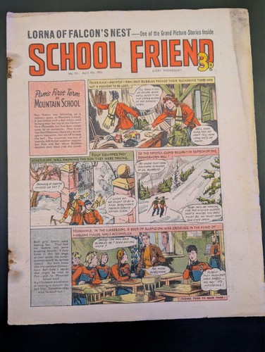 School friend comic - friend,