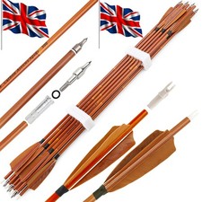 12X 30'' Carbon Arrows SP500