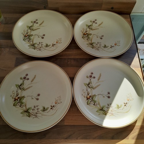 Harvest dinner plates - 4, x