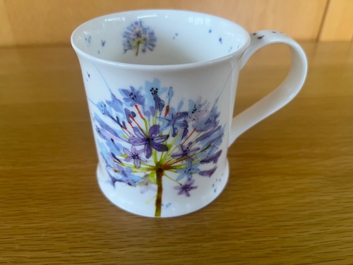 Dunoon agapanthus fine bone - fine,