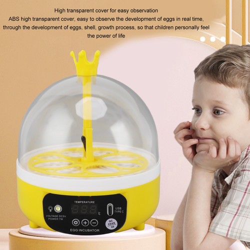 Chicken egg - (4,