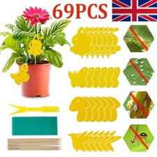 Flying Flie Traps Bug Sticky