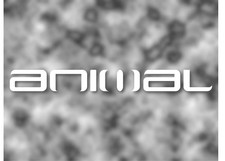 Animal surf brand - animal,