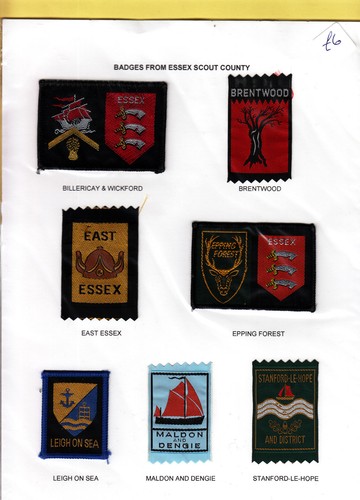 Boy scout badges from essex - scout,
