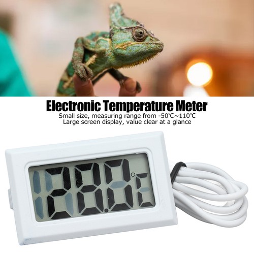 Electronic digital thermometer - electronic,