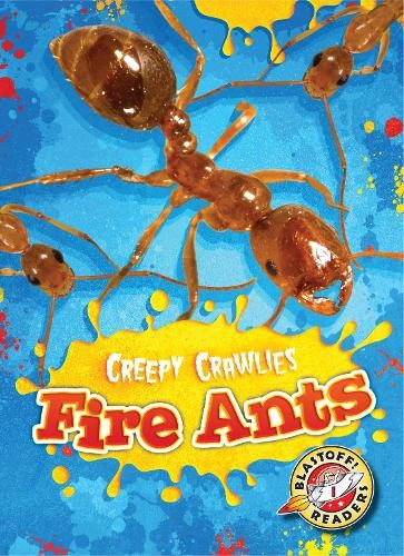 Fire ants kari schuetz - ants,