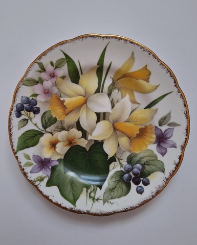 Bone china argyle - china,,