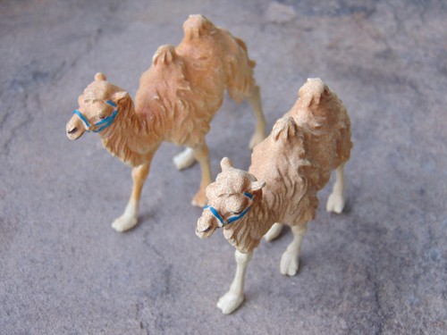 Britains camel safari park - britains,