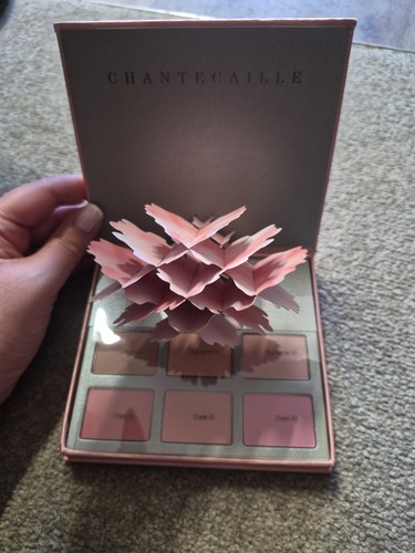 Chantecaille face palette - face,