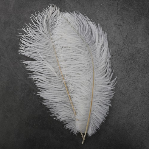 White ostrich feathers 40cm - ostrich, 35-40cm