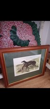 Greyhounds Framed Print 'Lady Clare & Asylum' By Harry Hall  Green Mount