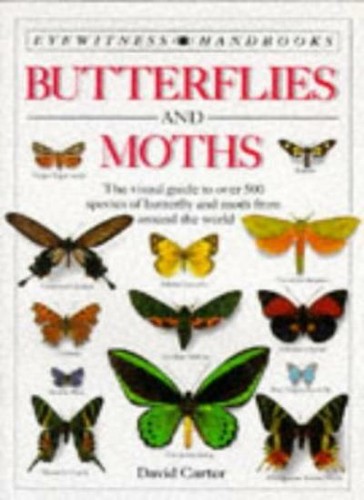 Butterflies and moths - butterflies,