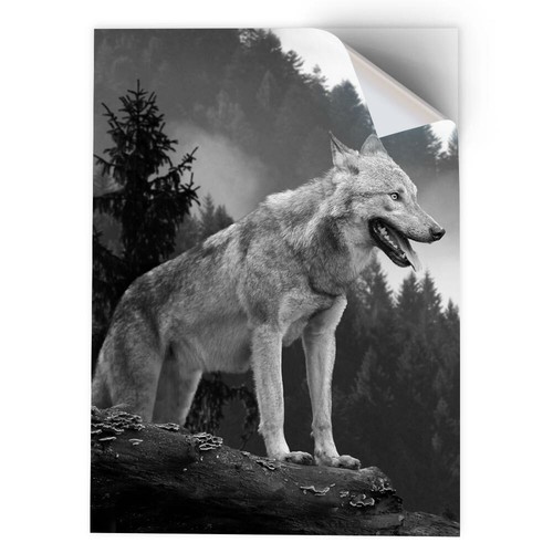 Vinyl sticker bw - 1,