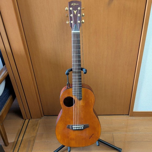 Yairi nocturne acoustic - nocturne,