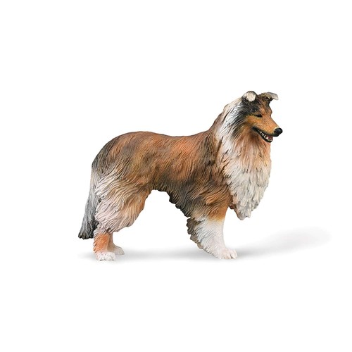 Collecta rough collie - collecta,